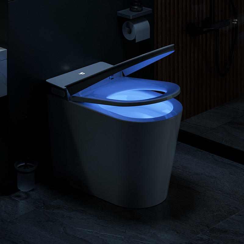 Bidet affleurant automatique électrique de carte de travail de cuvette des toilettes intelligente intelligente d'une seule pièce en céramique de plancher