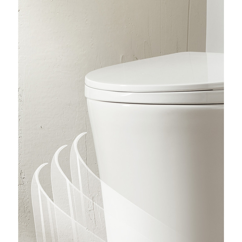 Rinçage en céramique du siphon 4,2/6L de toilette de salle de bains d'une seule pièce double au plancher