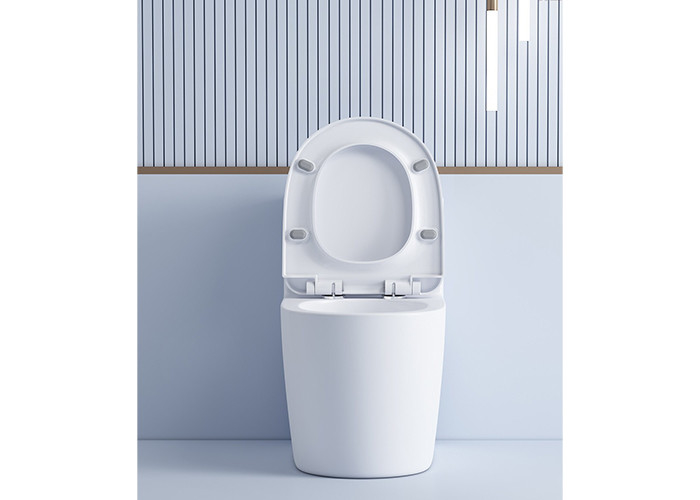 Chine Fournir des articles sanitaires Salle de bains Sanitaires Washdown WC en une seule pièce Ensembles de toilettes Salle de bains Articles sanitaires