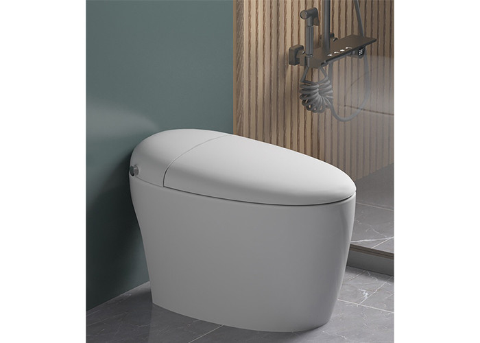 Une seule pièce en céramique de plancher de capteur de salle de bains de HOMIXE de bidet affleurant automatique électrique de luxe de carte de travail