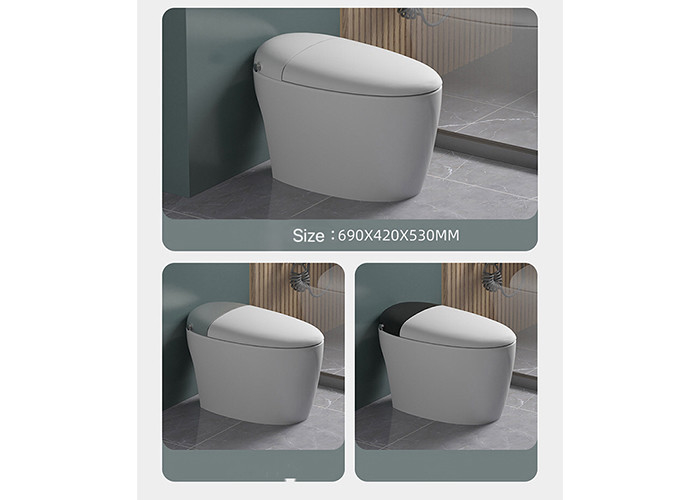 Une seule pièce en céramique de plancher de capteur de salle de bains de HOMIXE de bidet affleurant automatique électrique de luxe de carte de travail