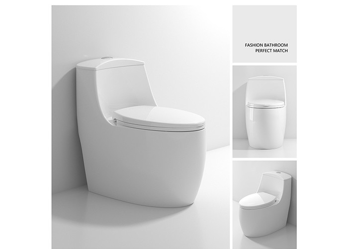 La carte de travail vitrée blanche d'une seule pièce conjuguent les articles sanitaires de S de cuvette des toilettes en céramique affleurante de piège