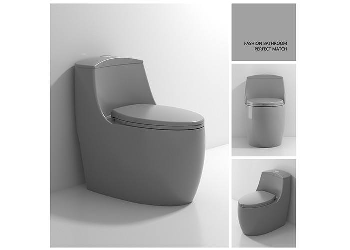 La carte de travail vitrée blanche d'une seule pièce conjuguent les articles sanitaires de S de cuvette des toilettes en céramique affleurante de piège