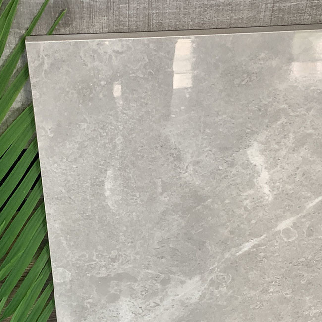 L'anti plein corps de encrassement a poli les tuiles vitrées de mur de plancher de porcelaine pour le salon