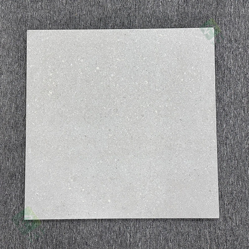 le glissement Matte Finished Exterior Garden Pavers rugueux de 600*600mm non couvre de tuiles le plancher de porcelaine