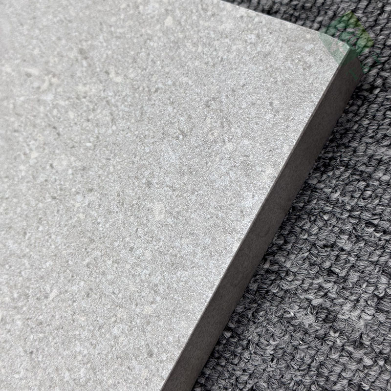 le glissement Matte Finished Exterior Garden Pavers rugueux de 600*600mm non couvre de tuiles le plancher de porcelaine