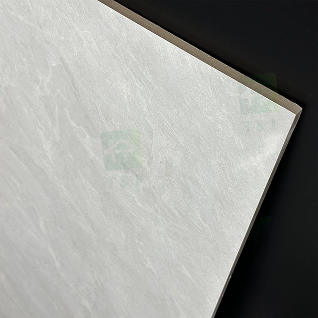 Le mur en céramique de la catégorie D.C.A. les carrelages vitrés par salon de place de porcelaine de marbre de plancher de tuiles