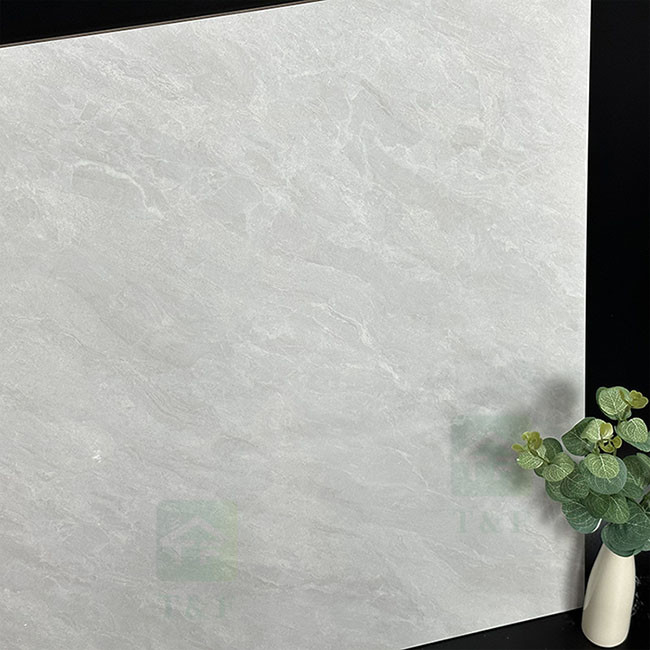 Le mur en céramique de la catégorie D.C.A. les carrelages vitrés par salon de place de porcelaine de marbre de plancher de tuiles