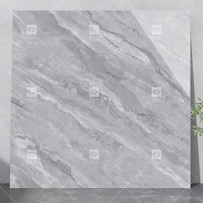 Des carreaux de porcelaine de luxe pour le salon.