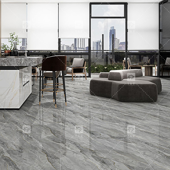 Des carreaux de porcelaine de luxe pour le salon.