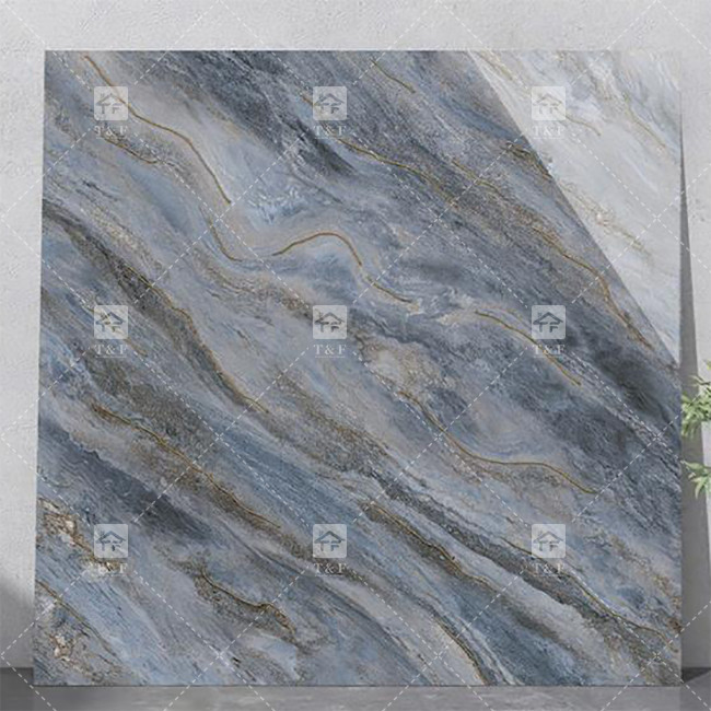Des carreaux de porcelaine de luxe pour le salon.