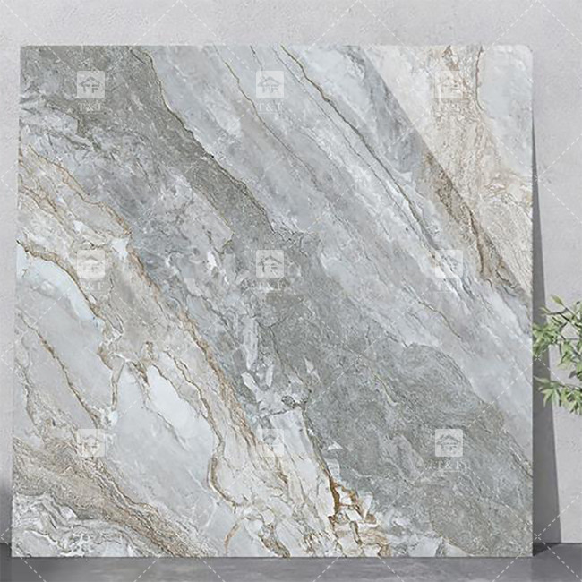Des carreaux de porcelaine de luxe pour le salon.