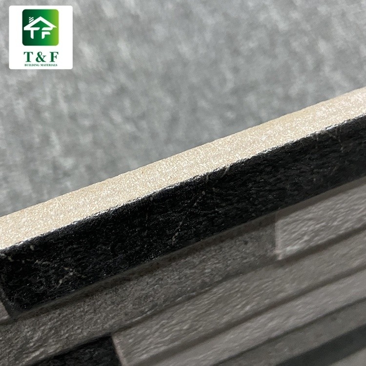 L'extérieur a glacé les carreaux de céramique la couleur blanche du mélange 20 x 40 noir